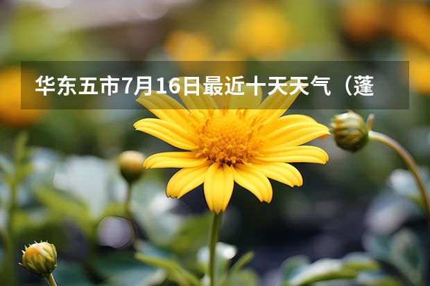 华东五市7月16日最近十天天气（蓬莱市一周天气预报）