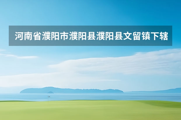 河南省濮阳市濮阳县濮阳县文留镇下辖村委会有哪些？