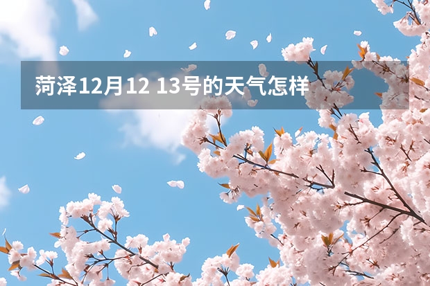 菏泽12月12 13号的天气怎样 山东未来一周的天气查询