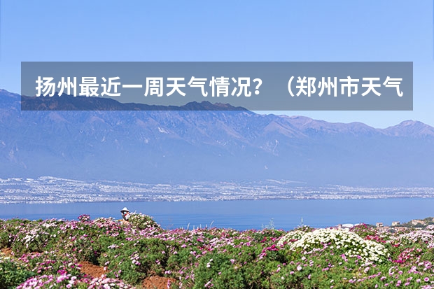 扬州最近一周天气情况？（郑州市天气预报一周）