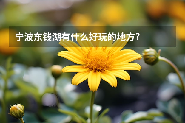 宁波东钱湖有什么好玩的地方?