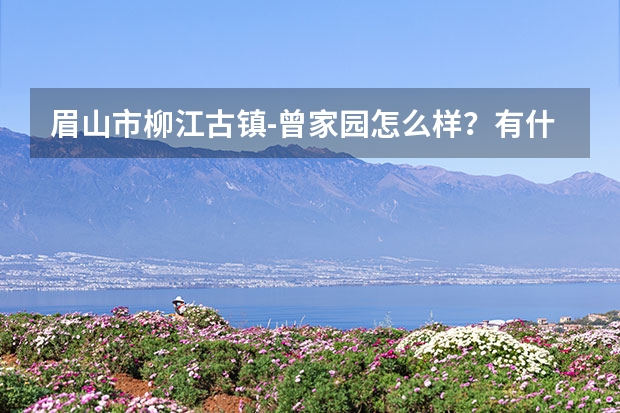 眉山市柳江古镇-曾家园怎么样？有什么好玩的地方？