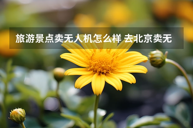 旅游景点卖无人机怎么样 去北京卖无人机赚钱吗