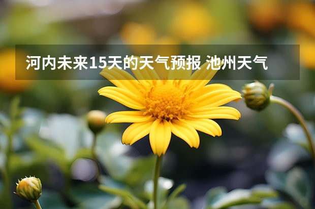 河内未来15天的天气预报 池州天气池州天气预报30天准确一个月