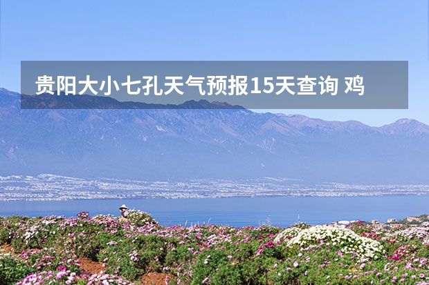 贵阳大小七孔天气预报15天查询 鸡东天气预报鸡东天气预报未来15天 未来7天南海九江的天气预报