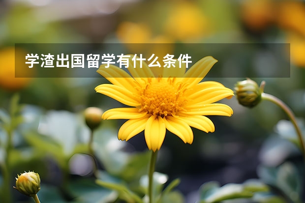 学渣出国留学有什么条件