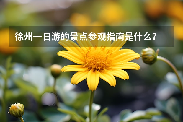 徐州一日游的景点参观指南是什么？