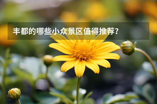 丰都的哪些小众景区值得推荐？