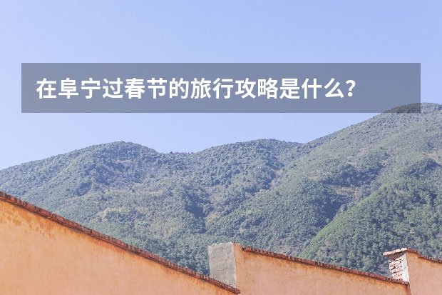 在阜宁过春节的旅行攻略是什么？