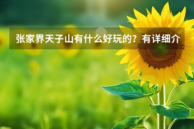 张家界天子山有什么好玩的？有详细介绍吗？